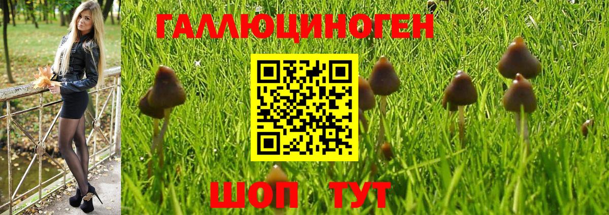 Галлюциногенные грибы MAGIC MUSHROOMS  Вход с VPN  Балабаново 